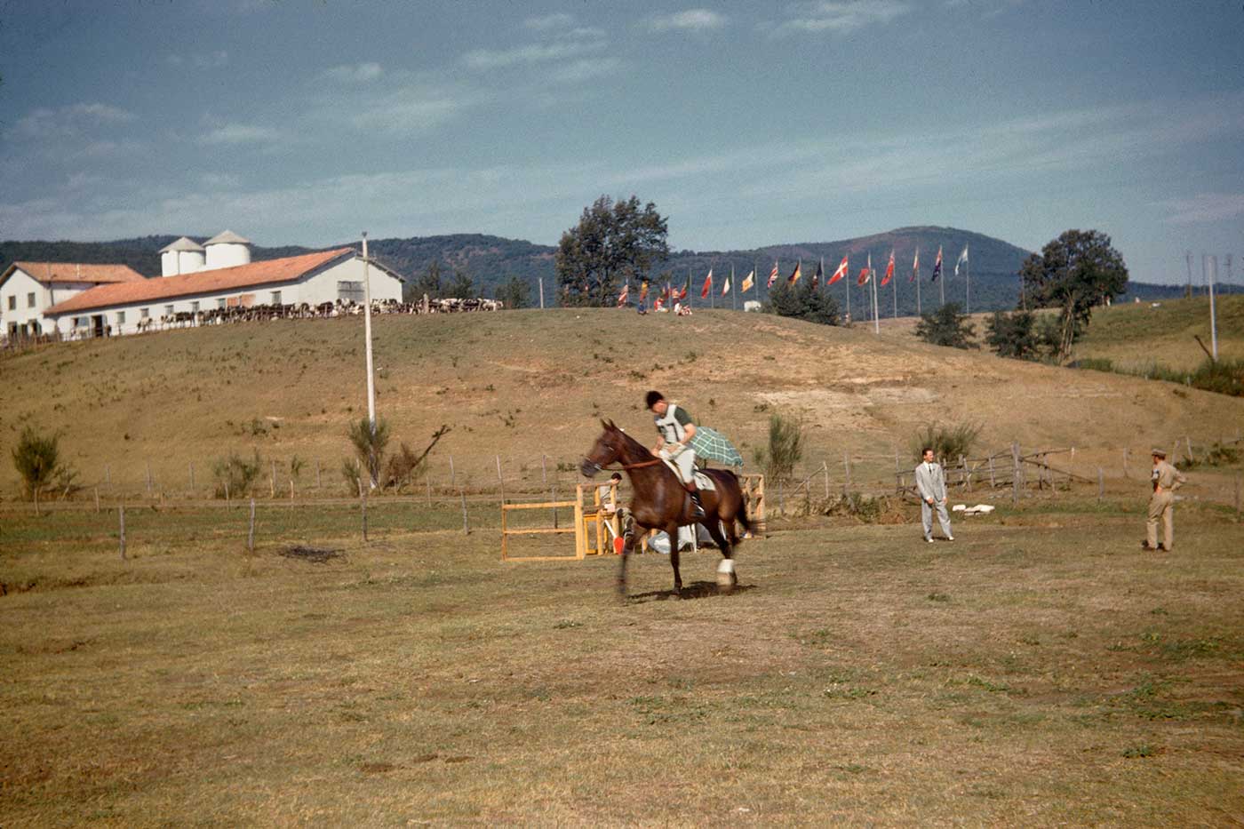 Neale and Mirrabooka at the cross-country event, Rome Olympics, 1960. - click to view larger image
